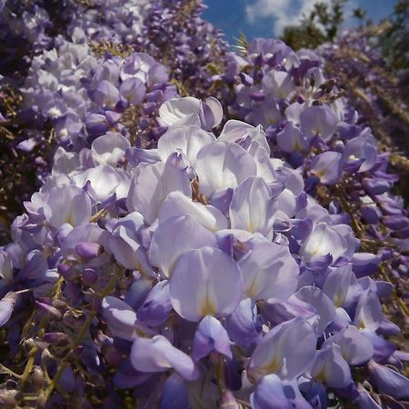 Отель Manoir De L'Esperance Corsept Экстерьер фото